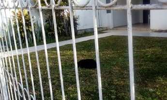 Imagem: Casa para alugar em Concórdia - SC