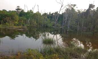 Imagem 4: Fazenda purissima