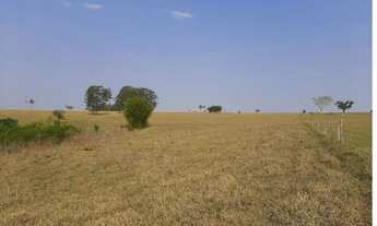 Imagem 5: Fazenda 142 Alqueires Região de Bauru - SP
