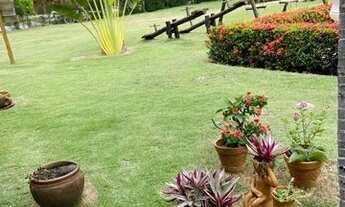 Imagem 4: Alugo linda casa