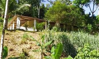 Imagem 7: Sítio com casa em Miracatu