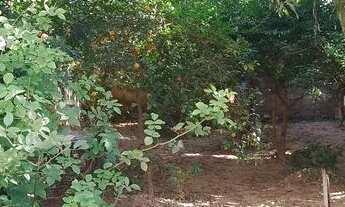 Imagem: Térrea para venda possui 74 M² com 2 quartos