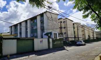 Imagem: Apartamento para aluguel possui 52 metros