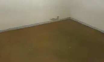 Imagem 4: Alugo barraco de fundos com garagem