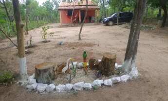 Imagem 7: Sítio Chácara com venda por R$40.000