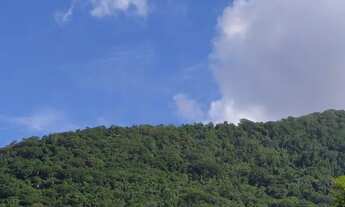 Imagem: Alugo Apto Anual Muquem