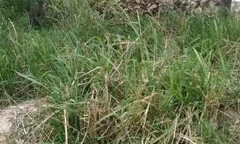 Imagem 2: Excelente terreno para venda, com excelente localização !!!