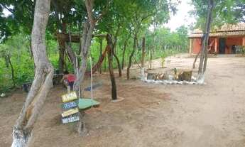 Imagem 3: Sítio Chácara com venda por R$40.000