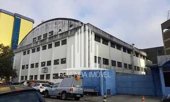 Imagem 5: Galpão Comercial em São Paulo