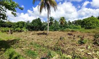 Imagem 2: Terreno 19x20 Terreno / lote com venda por R$120.000