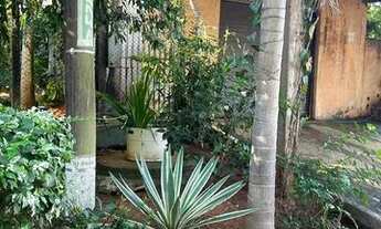 Imagem 4: Imovel+barracao - oportunidade unica