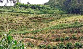 Imagem: Terreno Brejetuba