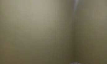 Imagem 6: Aluga se Casa com 1 dormitório