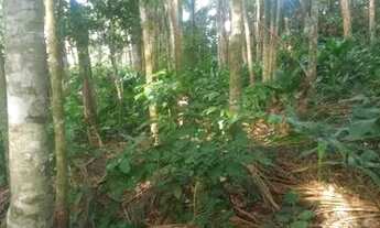 Imagem 7: Investimento ou moradia - Terreno em Pomerode/ SC - Testo Rega