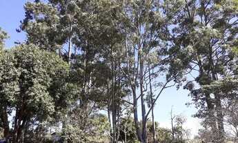 Imagem 1: 5 hectares rua 18 Lago Oeste