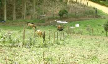 Imagem 2: Vendo terreno 30.000 mt2- R$50.000,00