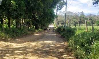 Imagem 6: Vendo Lindo sítio