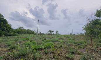 Imagem 4: Chácara 7825 MTS px Abadiania-go