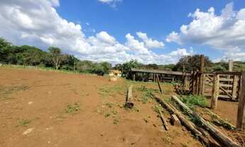 Imagem 2: Fazenda à venda em Monte Alegre de Minas