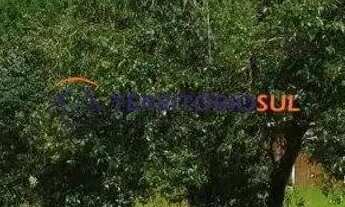 Imagem: Apartamento em Vila Nova