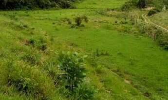 Imagem 2: Venda-se está propriedade de 27,5 alqueires no Município de Mimoso do Sul/ES