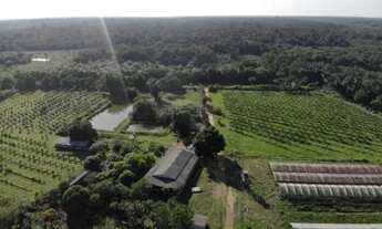 Imagem: Fazenda 2.500 x 2.600 na AM 010 km 164 9.000.002,00