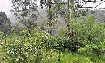 Imagem 7: Tripla Oportunidade: Terreno na Futura BR-356 Duplicada com Potencial Imobiliário e Minera