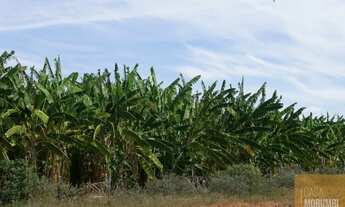 Imagem 5: Fazenda à Venda 16.000 Hectares em Ibó-abare , Bahia projetos de energia solar, refloresta