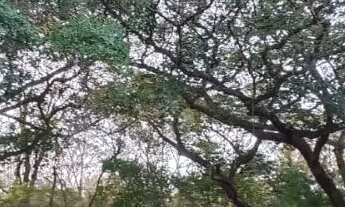 Imagem 5: Casa à venda no Morada do Sol