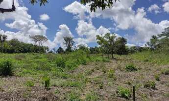 Imagem 6: Lote de 5100m 2 a venda na ponte alta norte