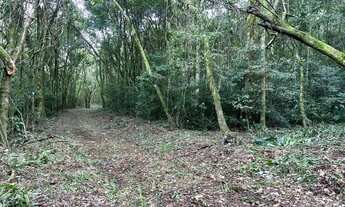 Imagem 4: Sítio Meia/ Hectare - Morro Reuter RS - proximo da tenda umbu Parcela direto