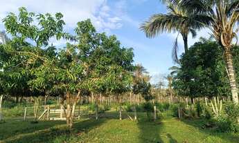 Imagem: Vendo sítio 600.000