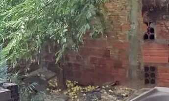 Imagem 4: Casa bairro pedro balzi