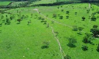 Imagem 4: Vende-se 10 Alq. em Corumbá de Goiás - Próximo a Taguatinga-DF