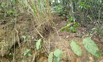 Imagem 3: Terreno à venda em Condomínio Maria Paula, 310,61m²