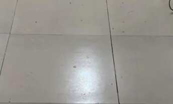 Imagem: Alugo finalizando reforma 3 dormitórios