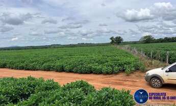 Imagem: Fazenda à Venda 49 Alqueires entre Piranhas