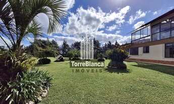 Imagem 3: Chácara à venda, em Frente à Pista Aeroclube de Balsa Nova, São Luiz do Purunã, Balsa Nova