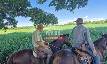 Imagem 4: Fazenda 76 alqueires (370 hectares) São Francisco - MG