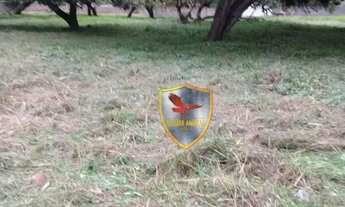 Imagem 4: EXCELENTE TERRENO EM PONTA NEGRA - NATAL/RN