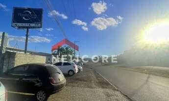 Imagem: Lote em Rs 239 - Alexandria - Parobé/RS