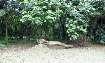 Imagem: Granja Viana, Gramado, Cotia