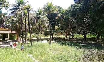 Imagem 4: Sítio à venda, Pov. Campestre, Teresina, PI