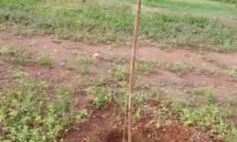 Imagem 2: Terreno residencial à venda em residencial santo antônio, piracicaba