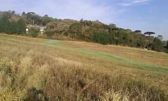 Imagem 3: Lotes/Terrenos em Residencial de Chácaras em Caucaia do Alto Segurança e Qualidade de Vid