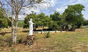 Imagem 4: Fazenda 212 alqueires Porto Nacional TO