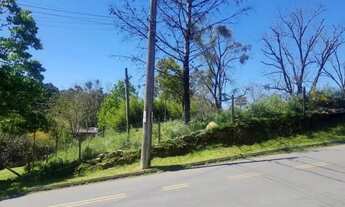 Imagem 4: CAXIAS DO SUL - Terreno Padrão - CRUZEIRO