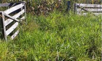 Imagem 3: Fazenda em frente ao Casarão (Cezarina