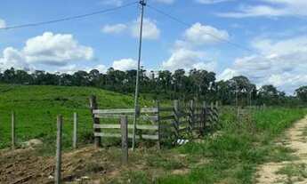 Imagem 4: Terra, sítio,Colônia