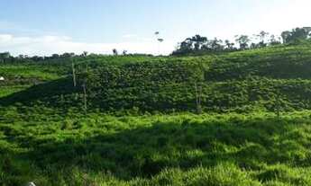 Imagem 5: Terra, sítio,Colônia